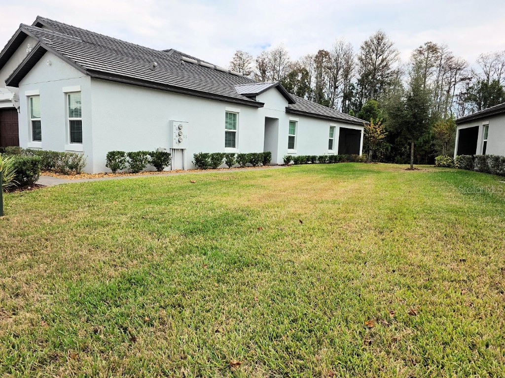 16890 Forge Surf Street Land O Lakes FL 34638 TB8454644 image2