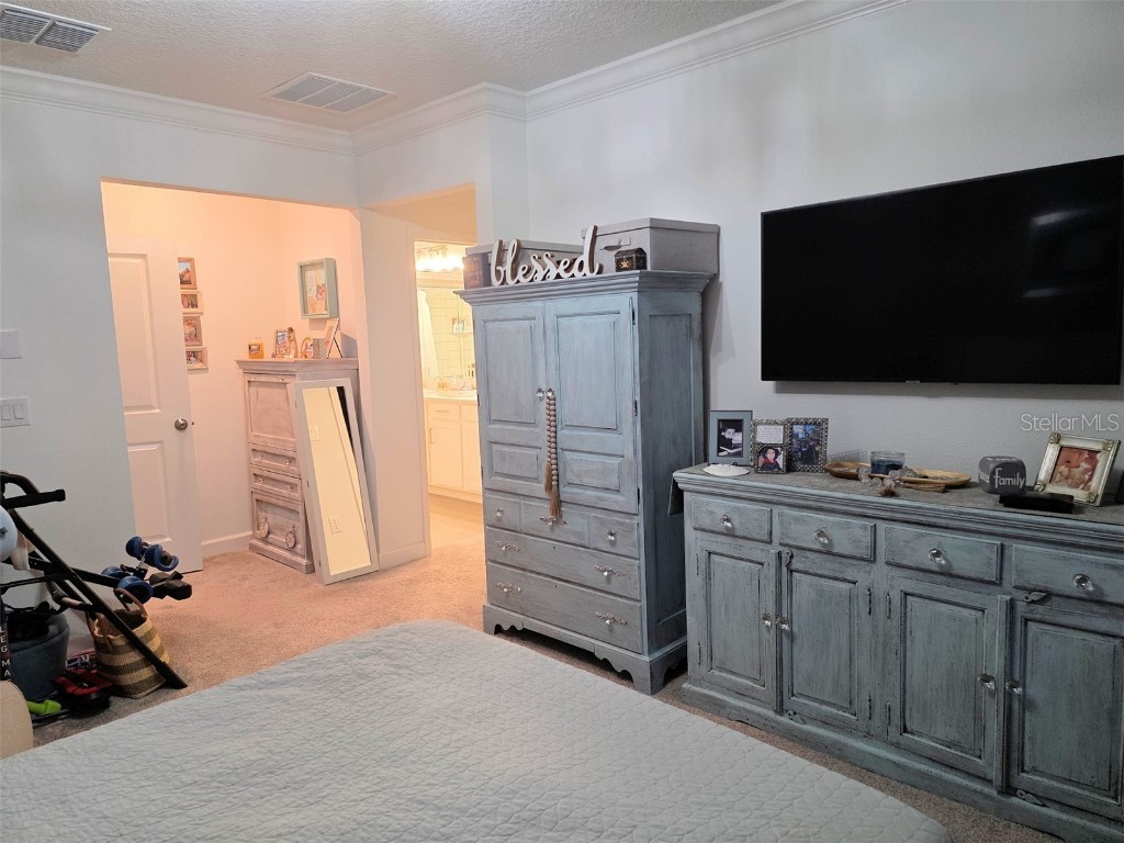 16890 Forge Surf Street Land O Lakes FL 34638 TB8454644 image25