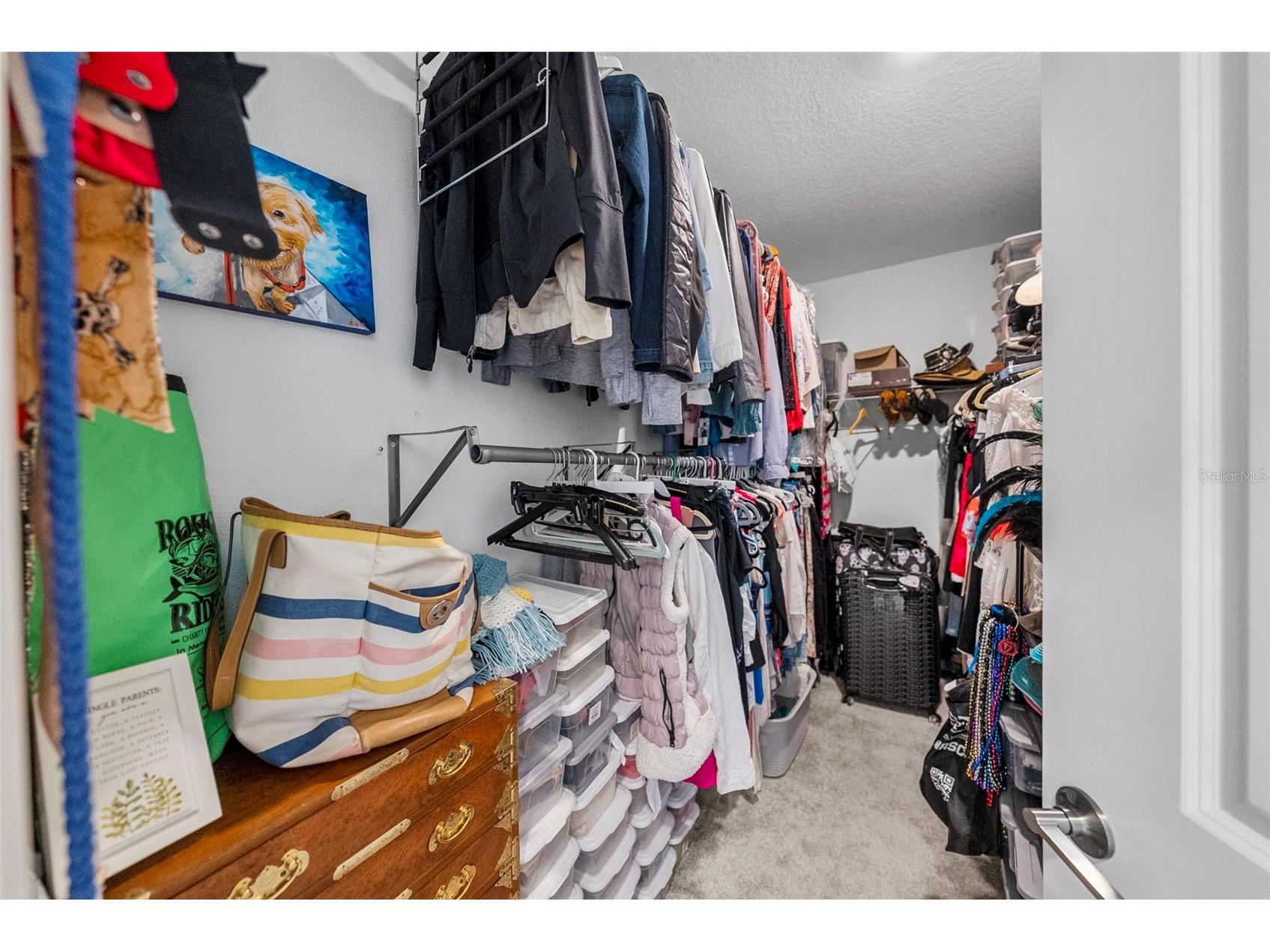 16890 Forge Surf Street Land O Lakes FL 34638 TB8462566 image18