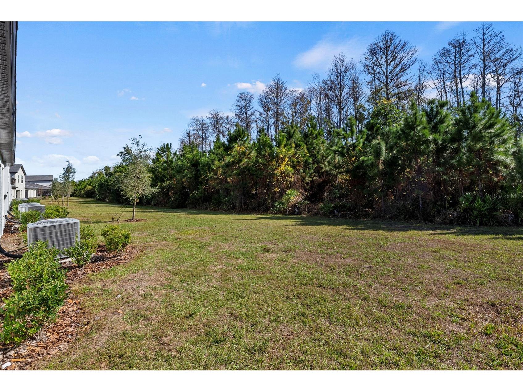 16890 Forge Surf Street Land O Lakes FL 34638 TB8462566 image35