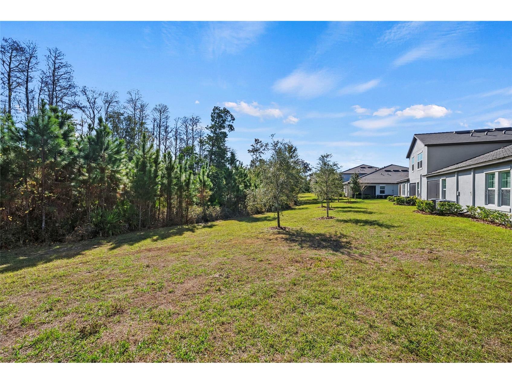 16890 Forge Surf Street Land O Lakes FL 34638 TB8462566 image36