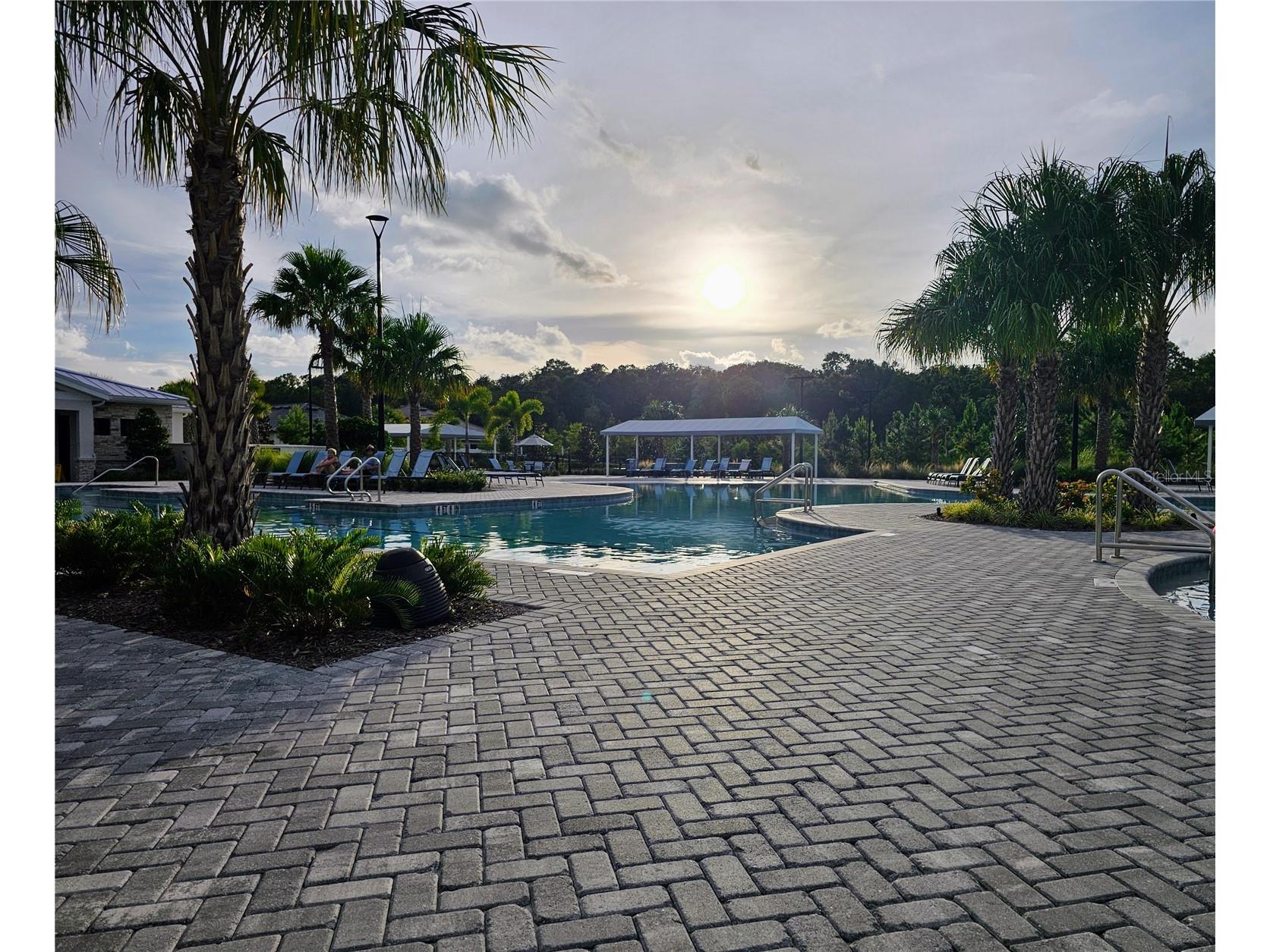 16890 Forge Surf Street Land O Lakes FL 34638 TB8462566 image39