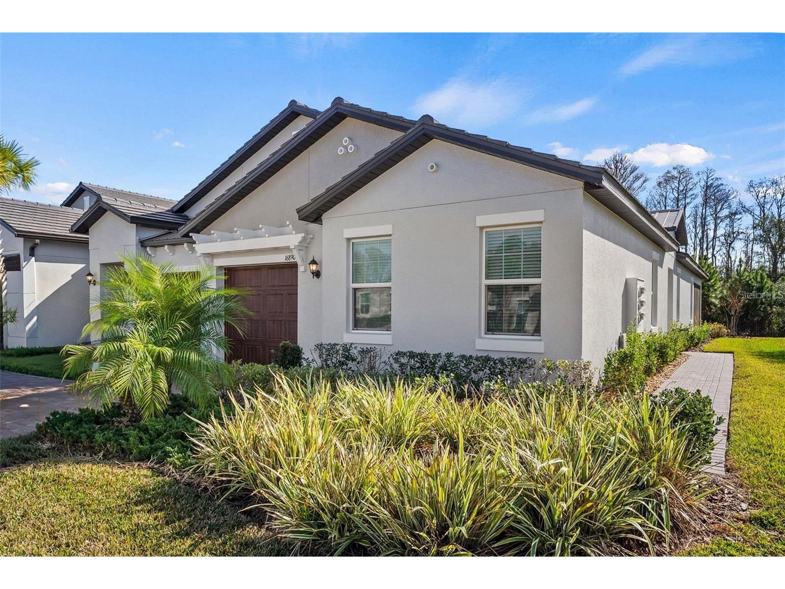 16890 Forge Surf Street Land O Lakes FL 34638 TB8515701 image1