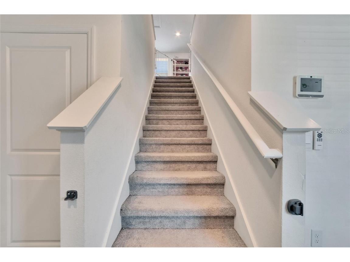 16894 Delia Street Wimauma FL 33598 TB8375857 image20