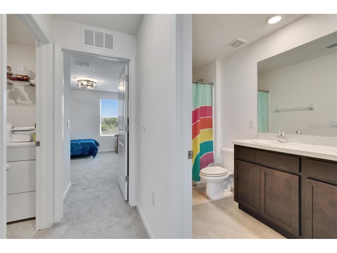 16894 Delia Street Wimauma FL 33598 TB8375857 image30