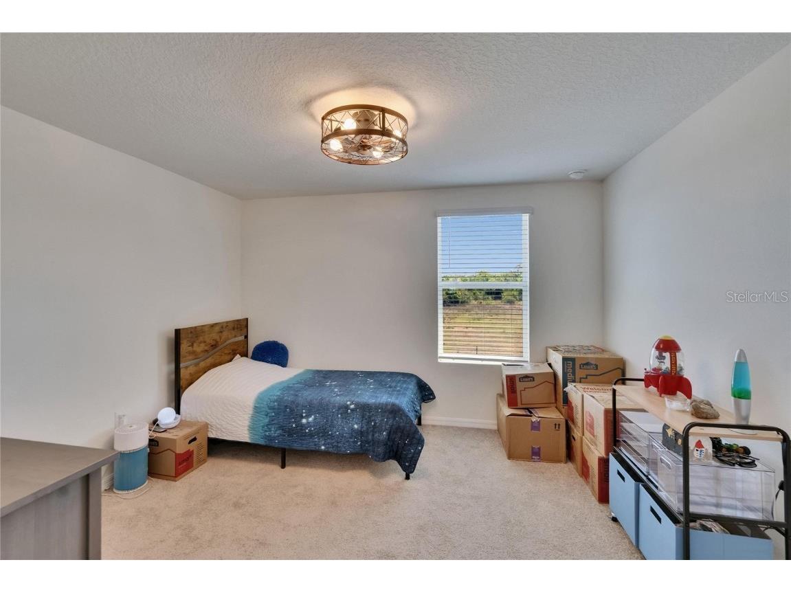 16894 Delia Street Wimauma FL 33598 TB8375857 image33