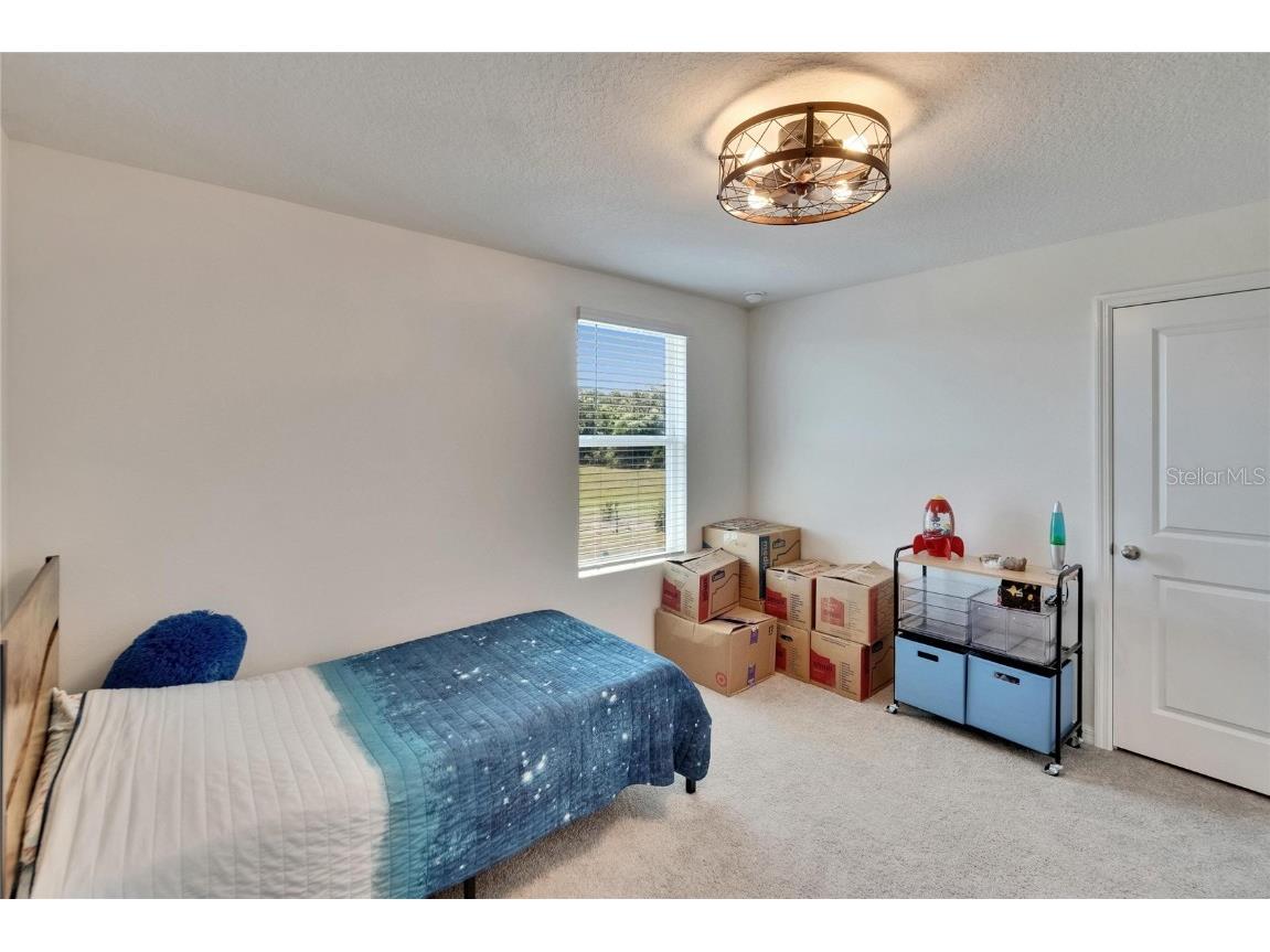 16894 Delia Street Wimauma FL 33598 TB8375857 image34