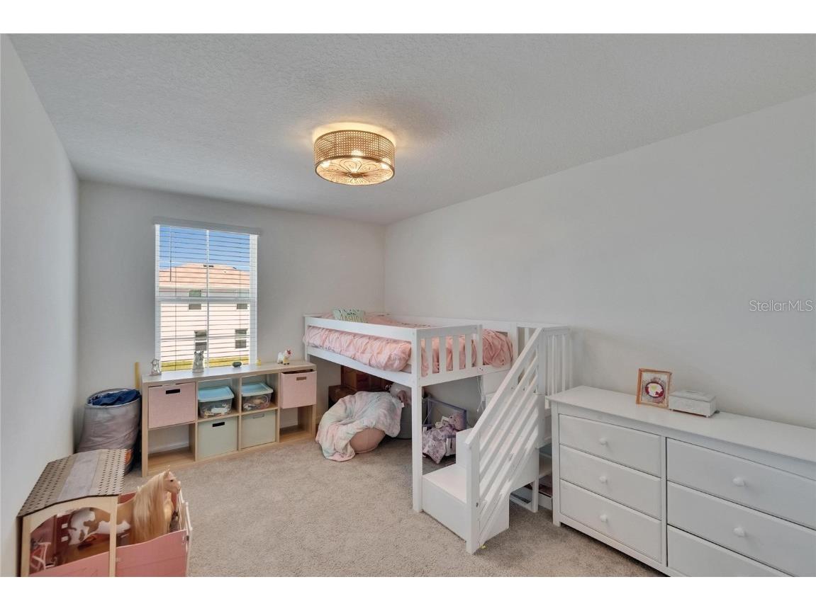 16894 Delia Street Wimauma FL 33598 TB8375857 image37