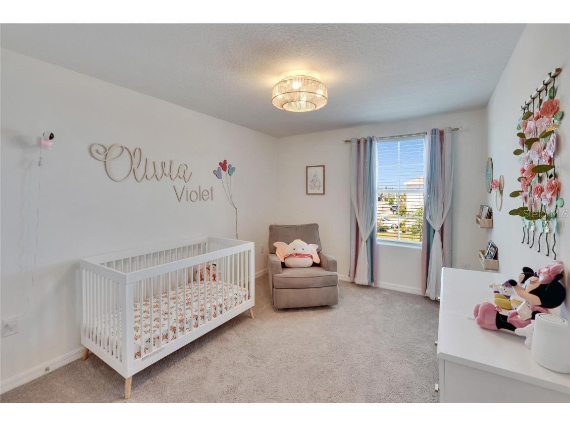 16894 Delia Street Wimauma FL 33598 TB8375857 image38