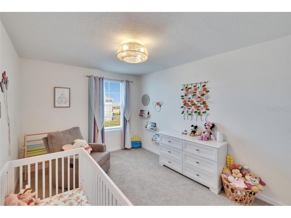 16894 Delia Street Wimauma FL 33598 TB8375857 image39