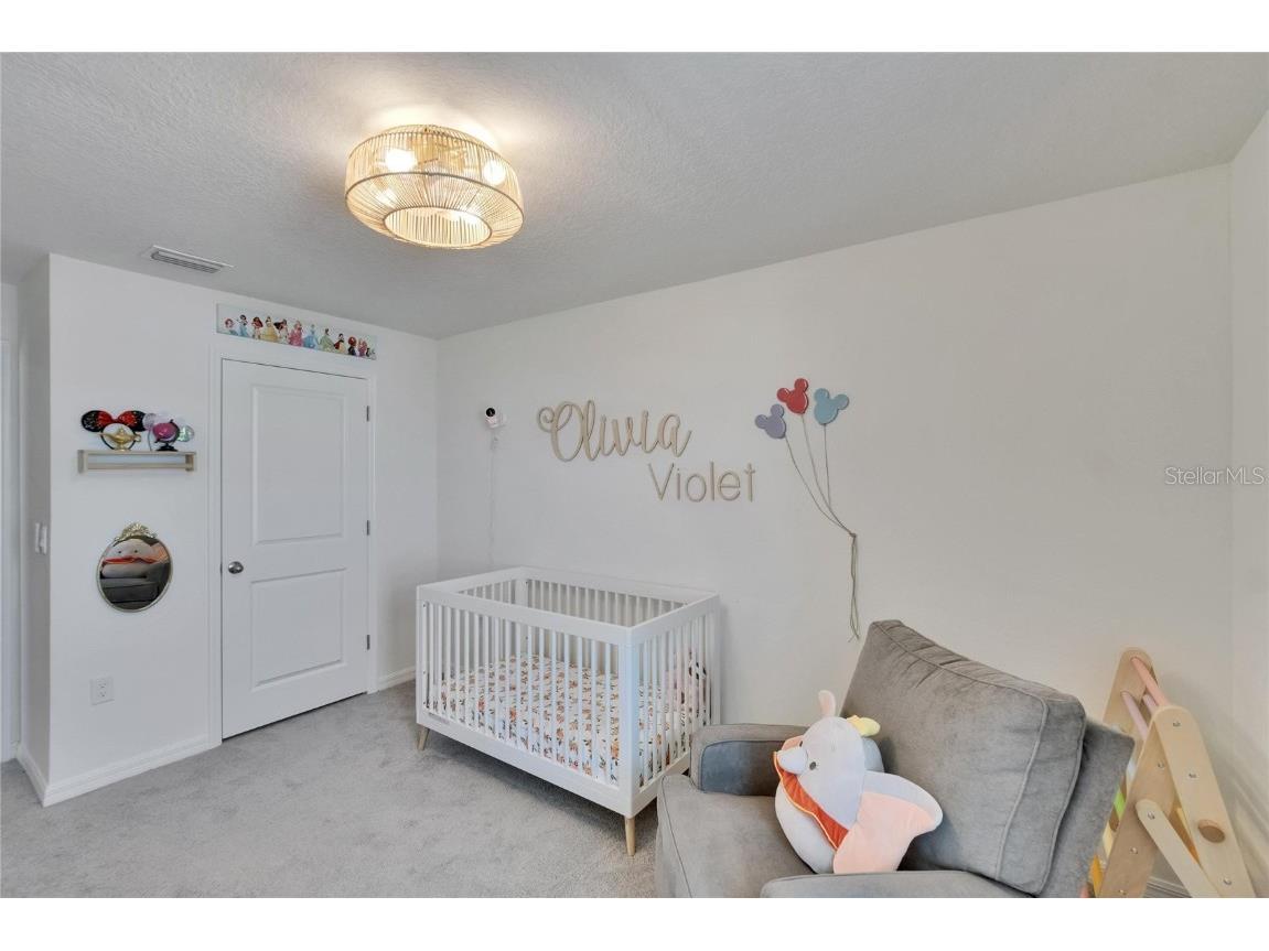 16894 Delia Street Wimauma FL 33598 TB8375857 image40