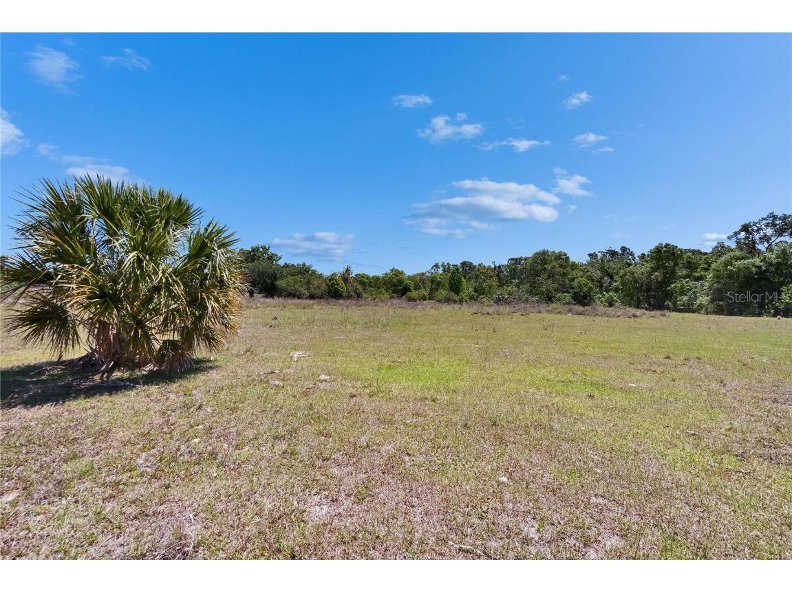 16894 Delia Street Wimauma FL 33598 TB8375857 image45