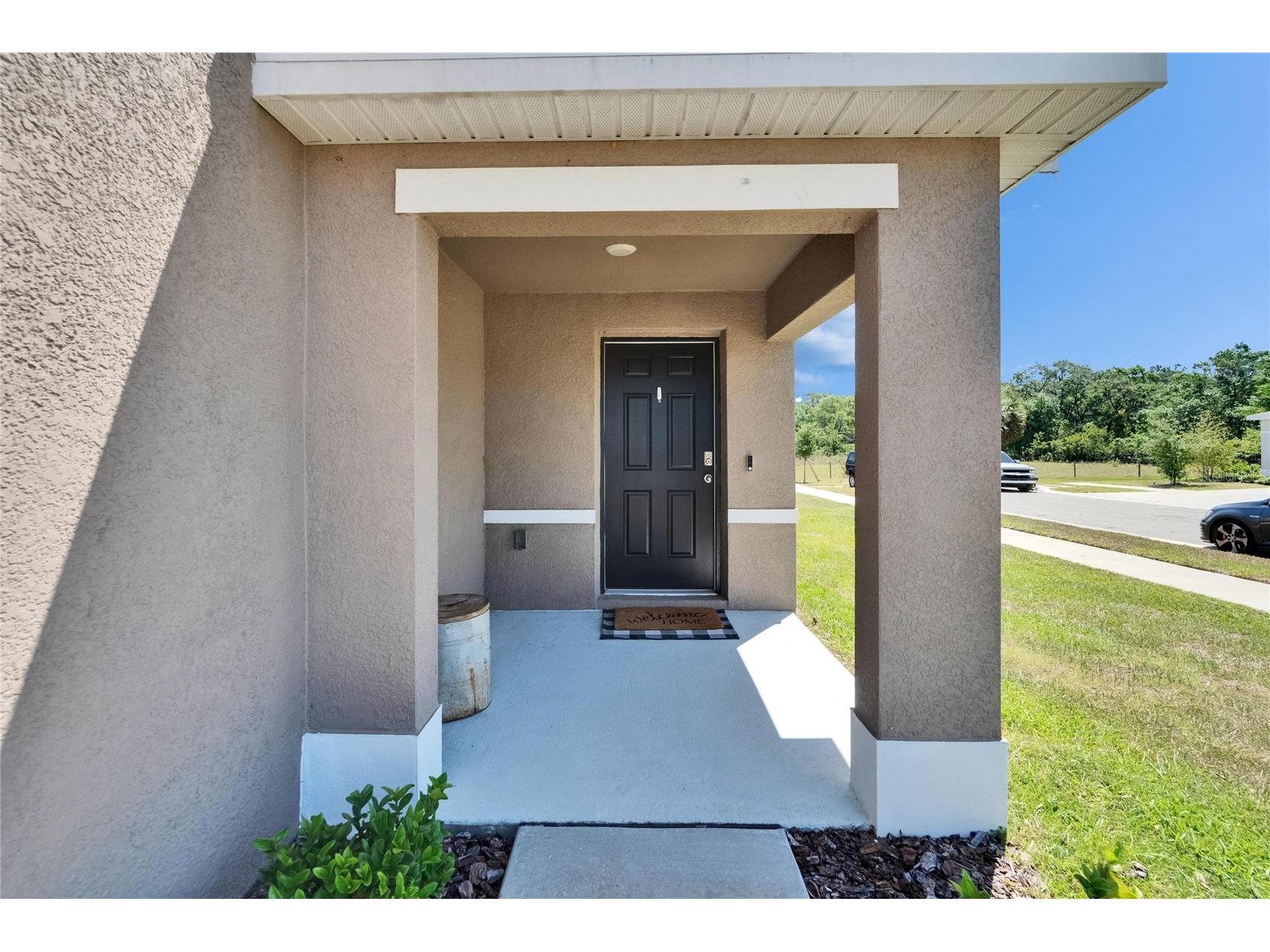 16894 Delia Street Wimauma FL 33598 TB8513695 image3