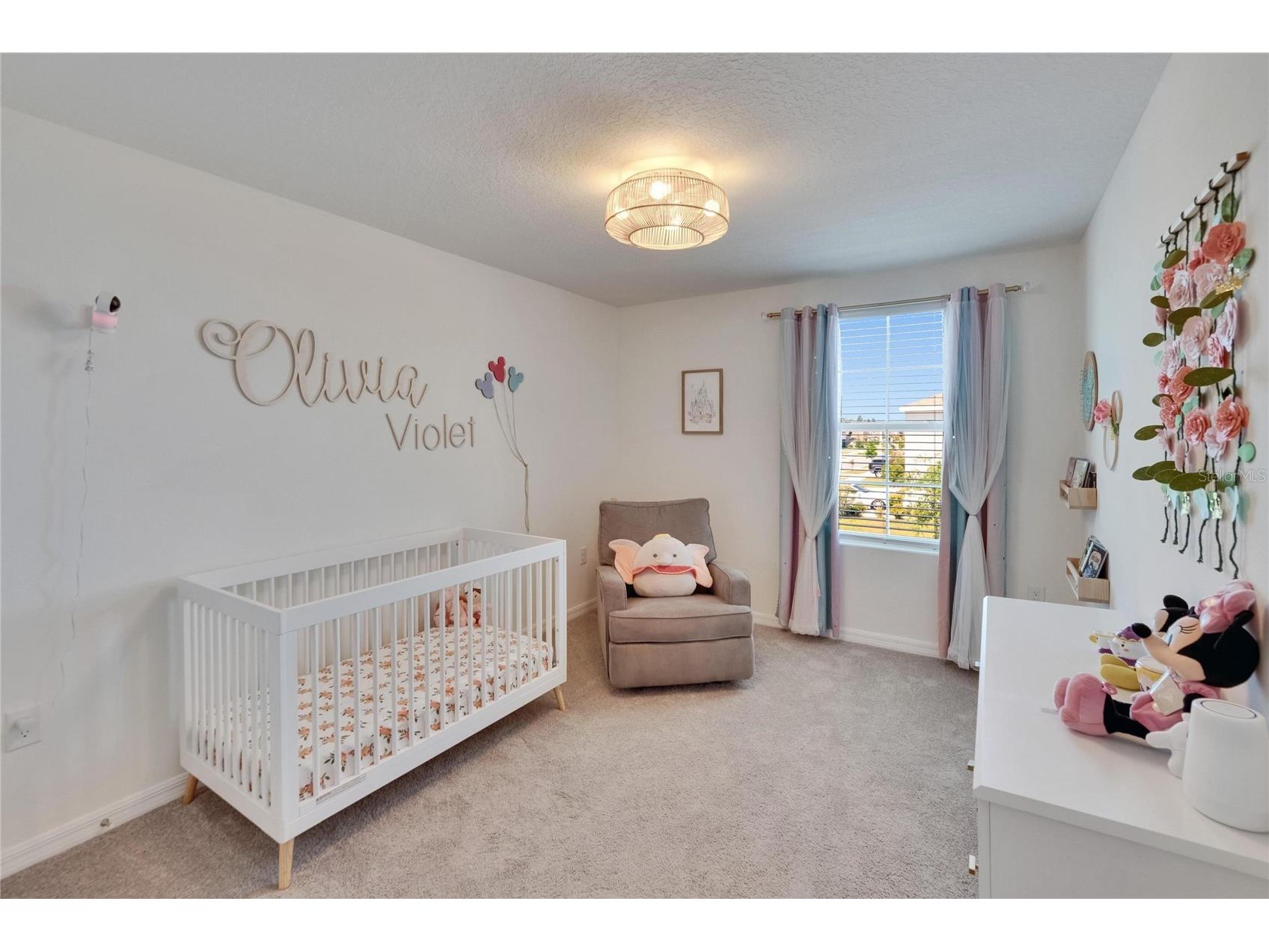 16894 Delia Street Wimauma FL 33598 TB8513695 image38