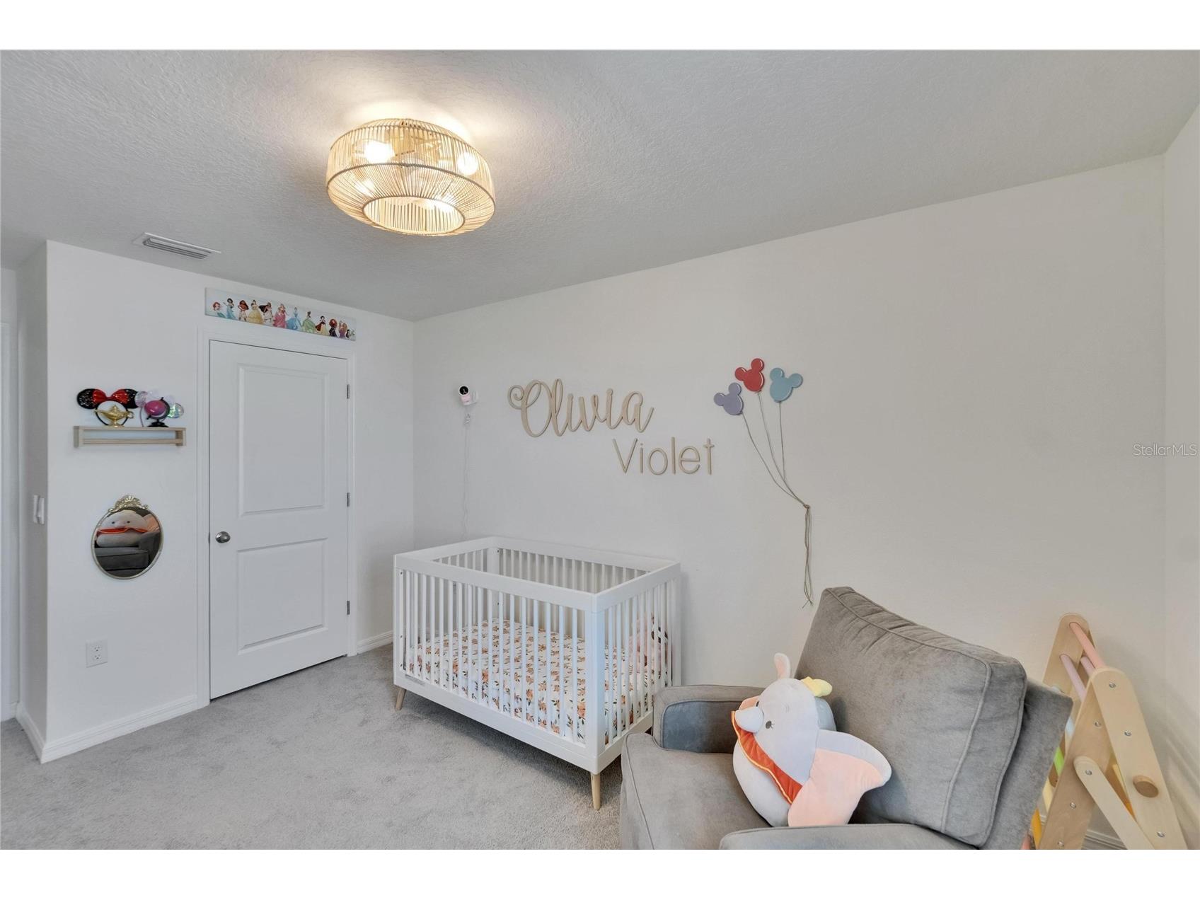 16894 Delia Street Wimauma FL 33598 TB8513695 image40