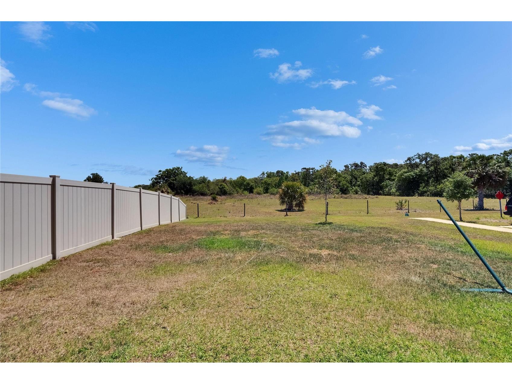 16894 Delia Street Wimauma FL 33598 TB8513695 image44