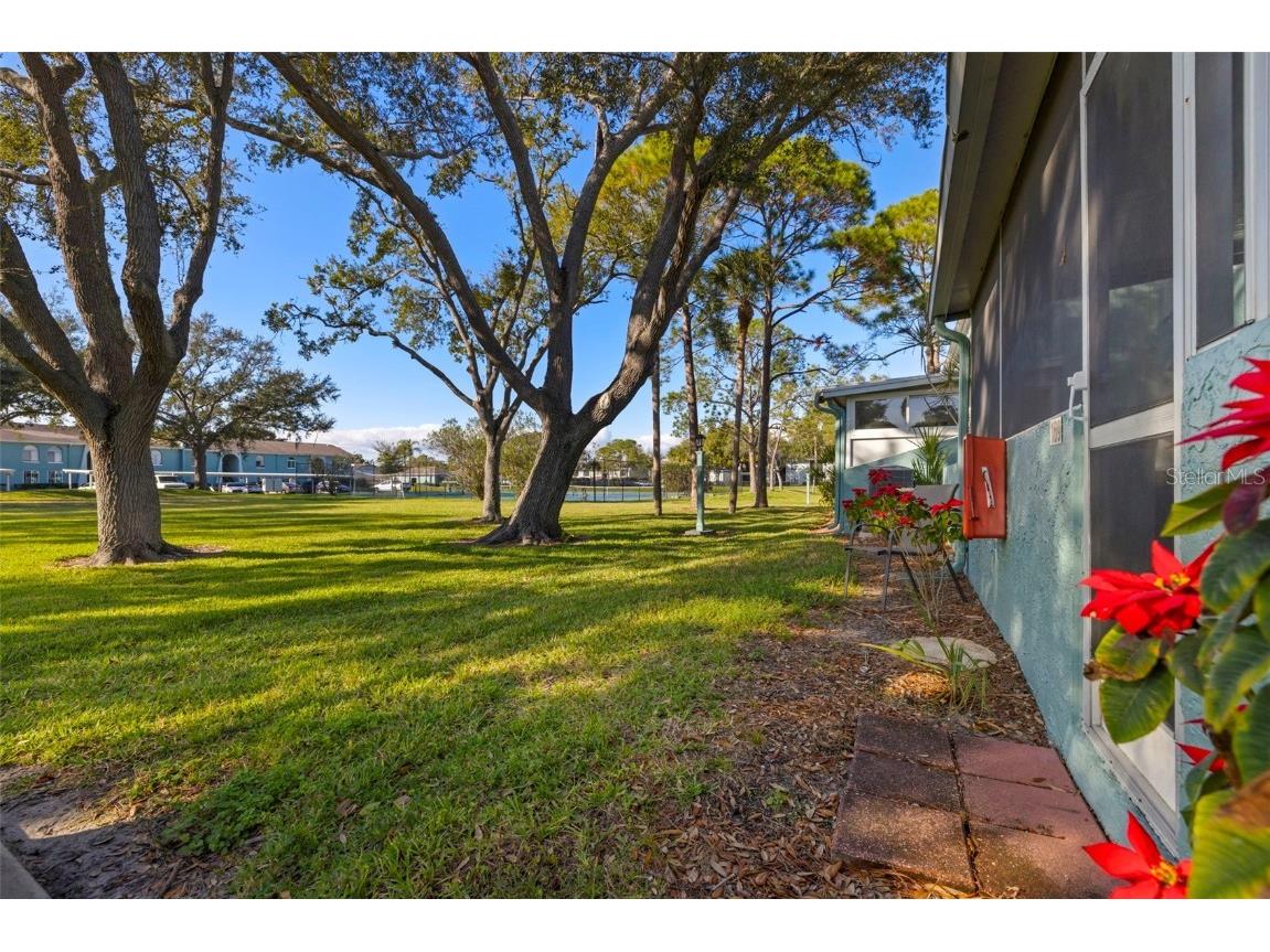 169 114th Avenue N #169 Saint Petersburg FL 33716 TB8461196 image8