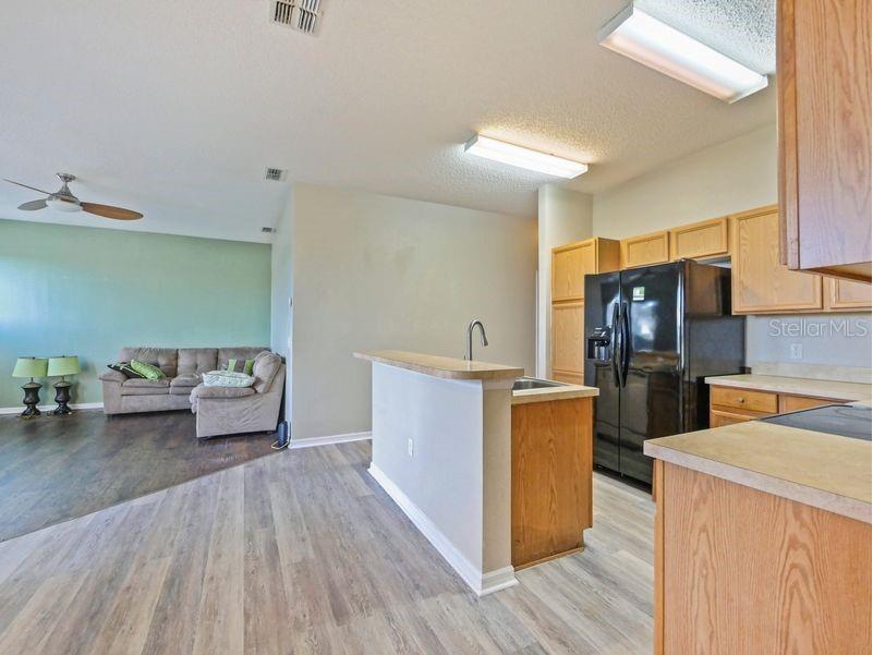 169 Big Black Drive Kissimmee FL 34759 O6333497 image12