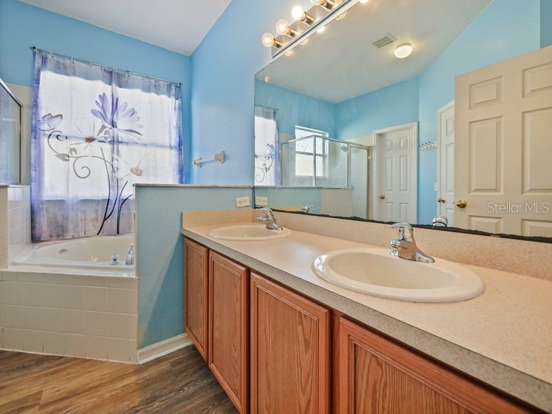 169 Big Black Drive Kissimmee FL 34759 O6333497 image18