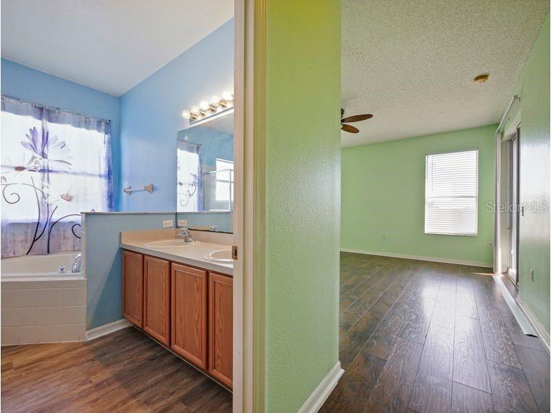 169 Big Black Drive Kissimmee FL 34759 O6333497 image19