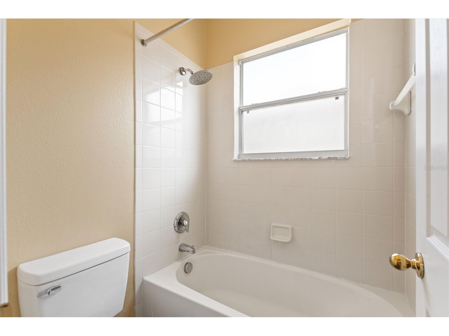 169 Big Black Drive Kissimmee FL 34759 S5149078 image26