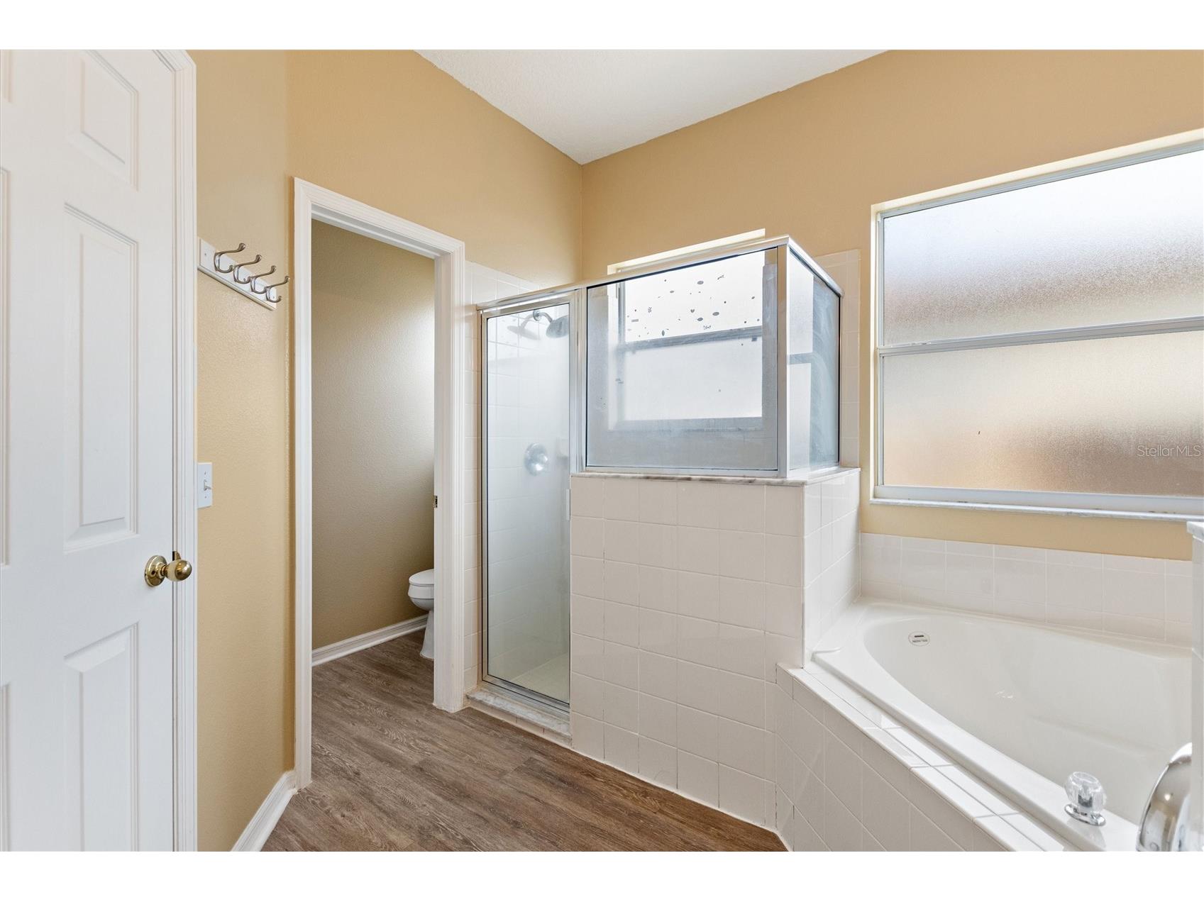 169 Big Black Drive Kissimmee FL 34759 S5149078 image33