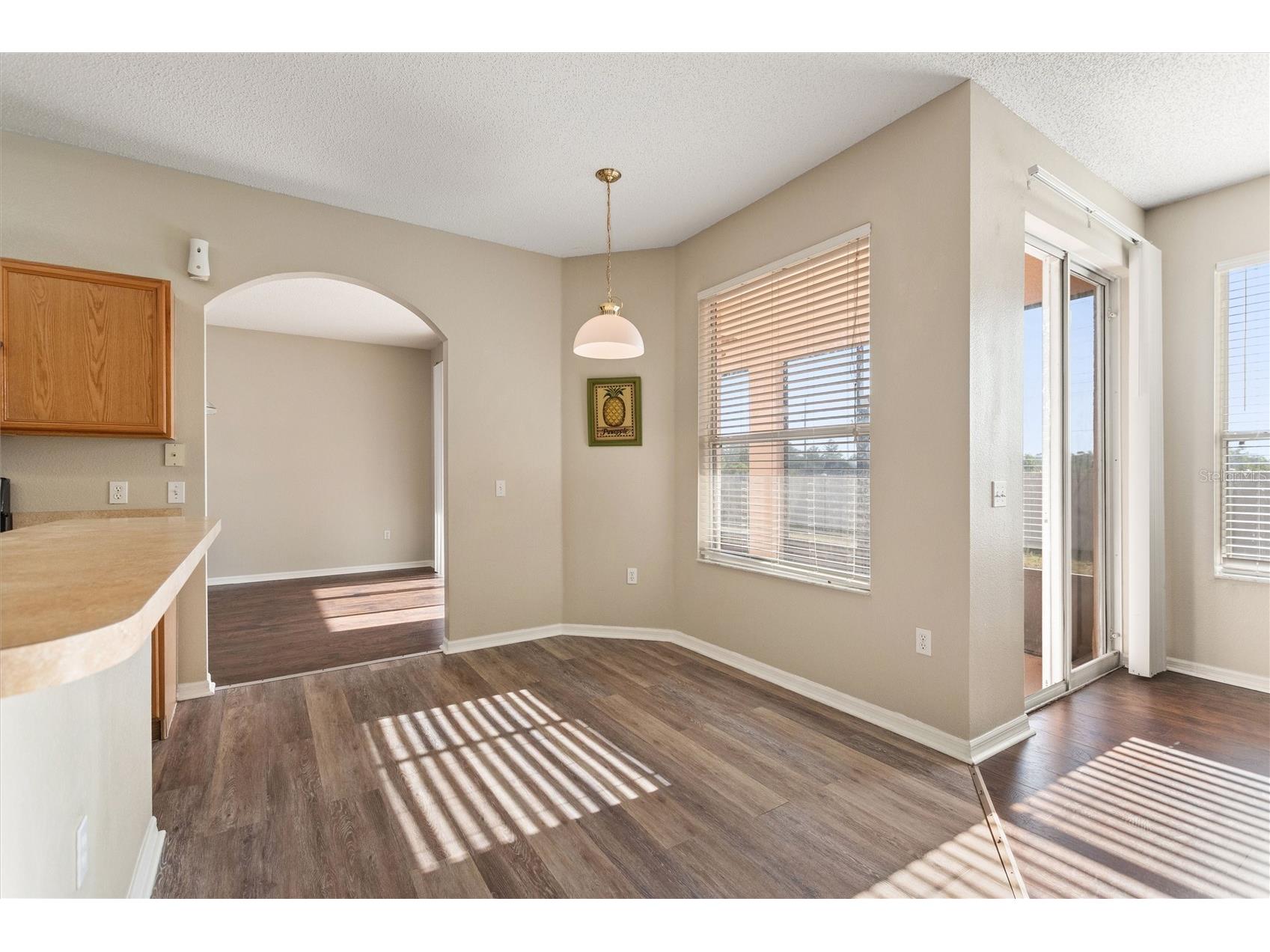 169 Big Black Drive Kissimmee FL 34759 S5149078 image9