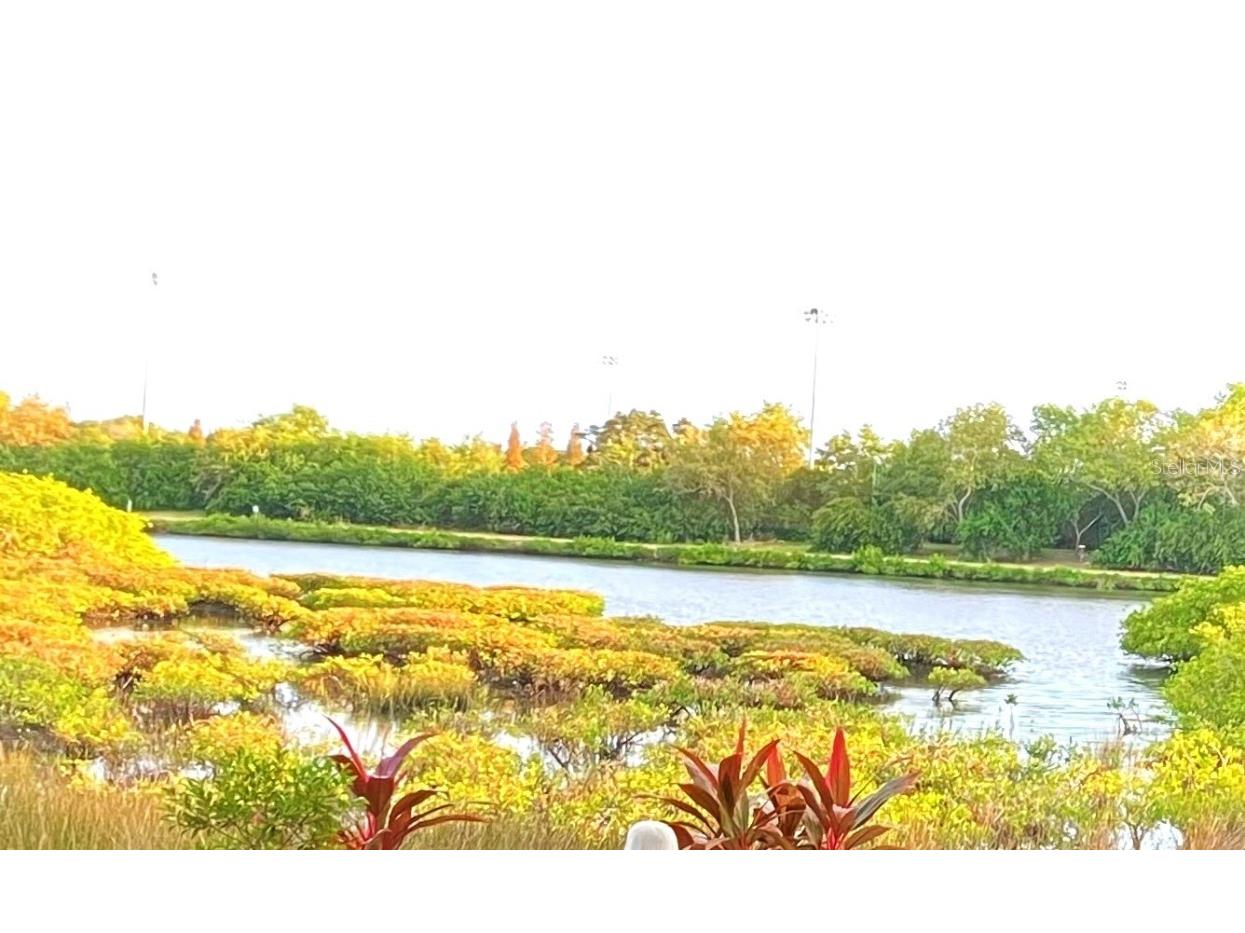 169 Clubview Drive #119 Safety Harbor FL 34695 TB8314017 image1