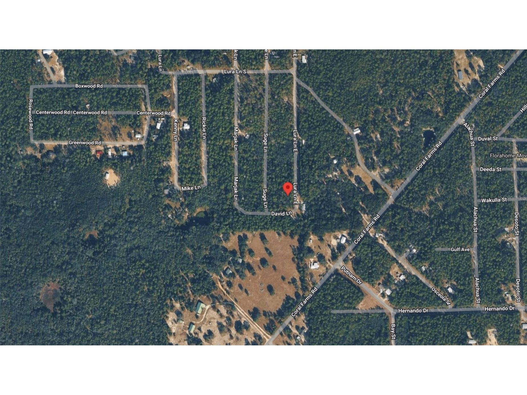 169 E Lura Lane Florahome FL 32140 D6147446 image5