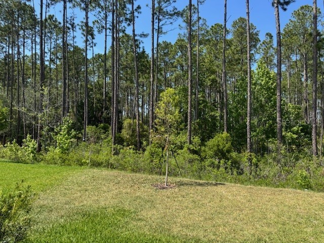 169 Greenwood Drive Palm Coast FL 32137 FC306762 image37