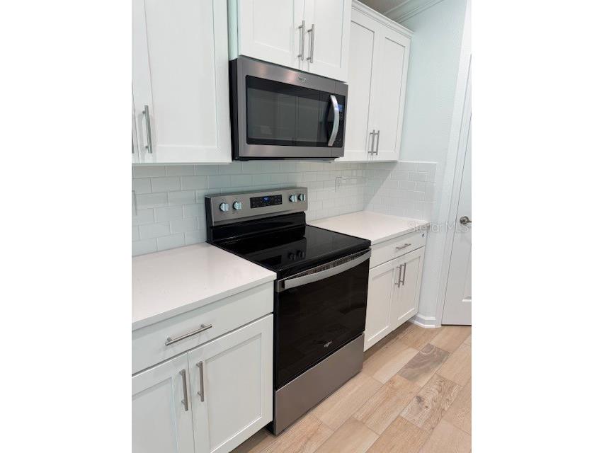 169 Greenwood Drive Palm Coast FL 32137 FC306762 image9