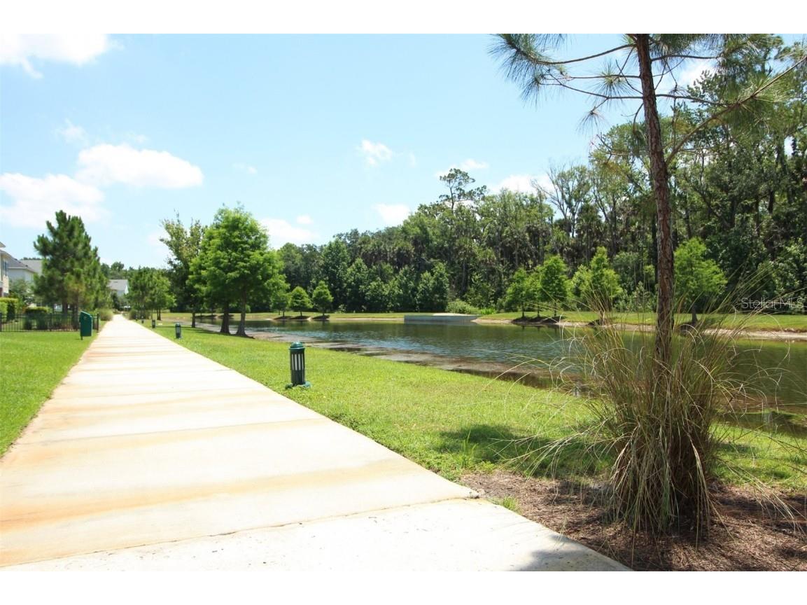 169 Longview Avenue Celebration FL 34747 O6354026 image21