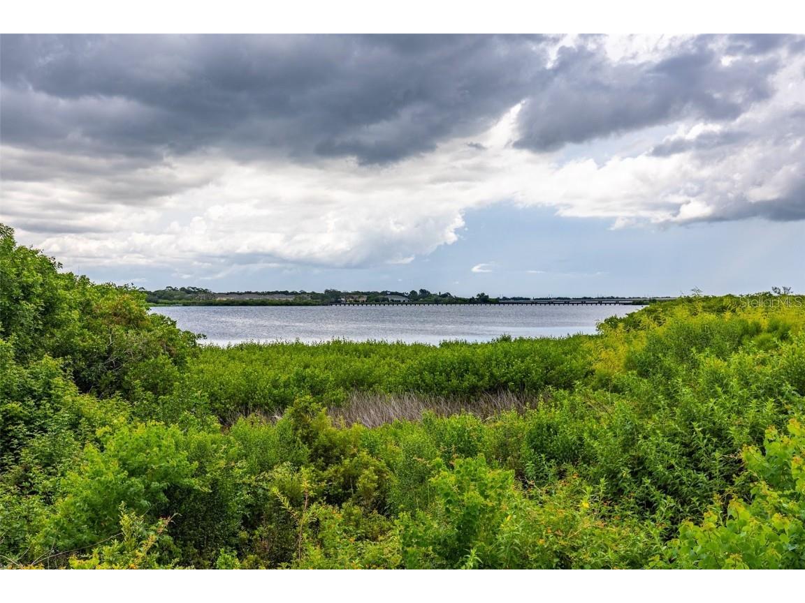 169 Pinewood Terrace #106 Safety Harbor FL 34695 U8210280 image1