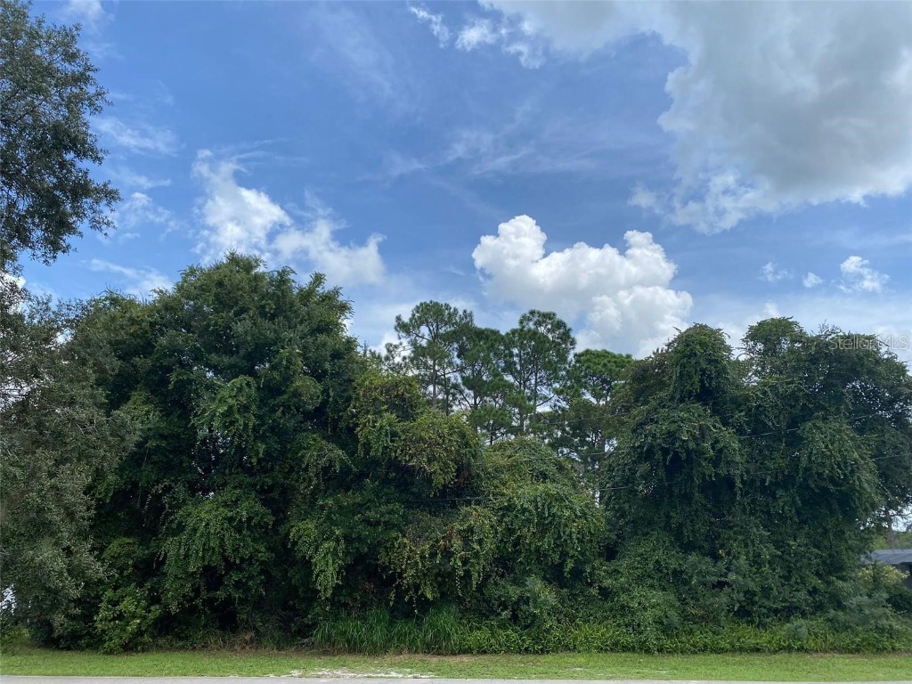 169 Rosedale Drive Deltona FL 32738 - LAKE BUTLER V4932288 image1