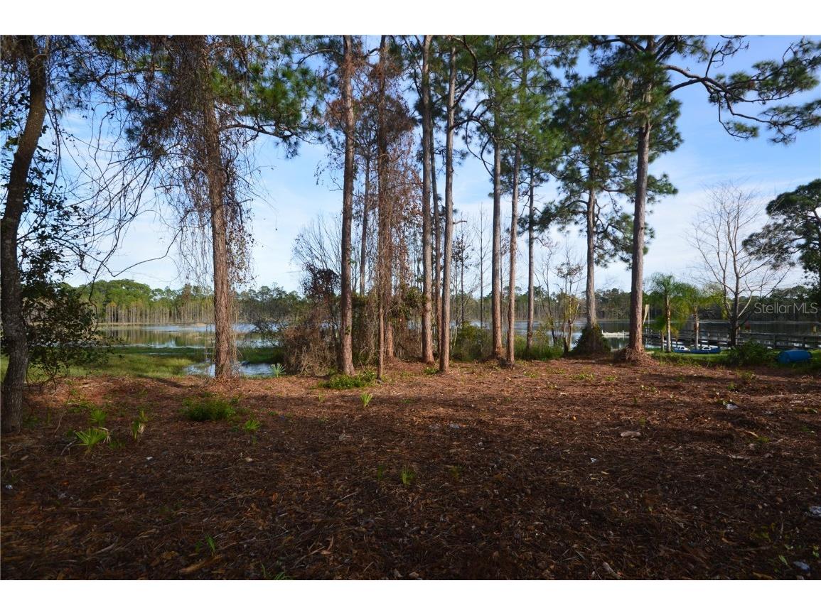169 Rosedale Drive Deltona FL 32738 - LAKE BUTLER CHAIN OF LAKES V4933581 image1