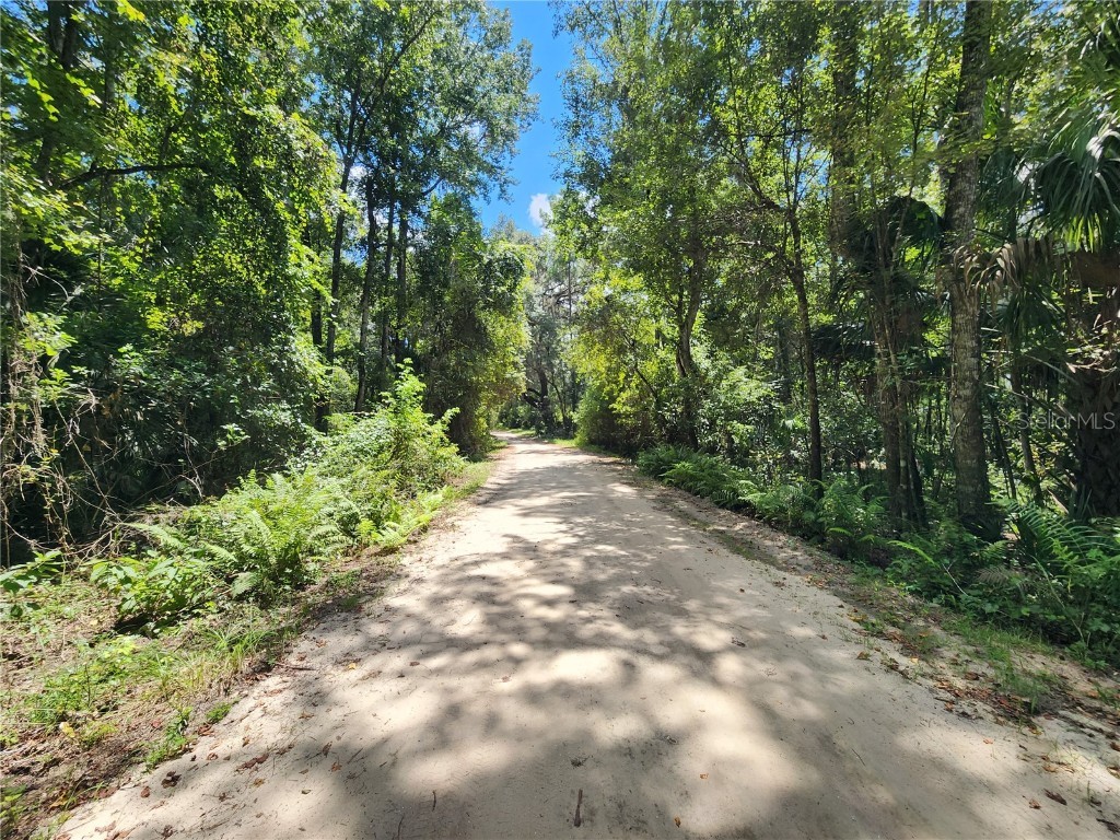 169 She She Road Hawthorne FL 32640 - LITTLE ORANGE LAKE OM660746 image1