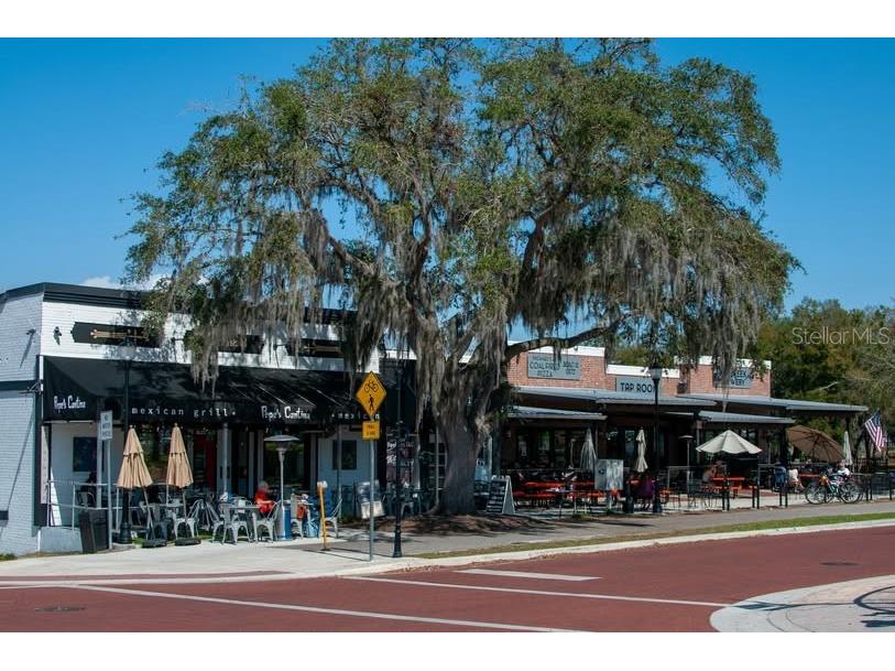 169 Tranquil Mirror Lake Court #LOT 7 Clermont FL 34711 - Mirror Lake O6391722 image23