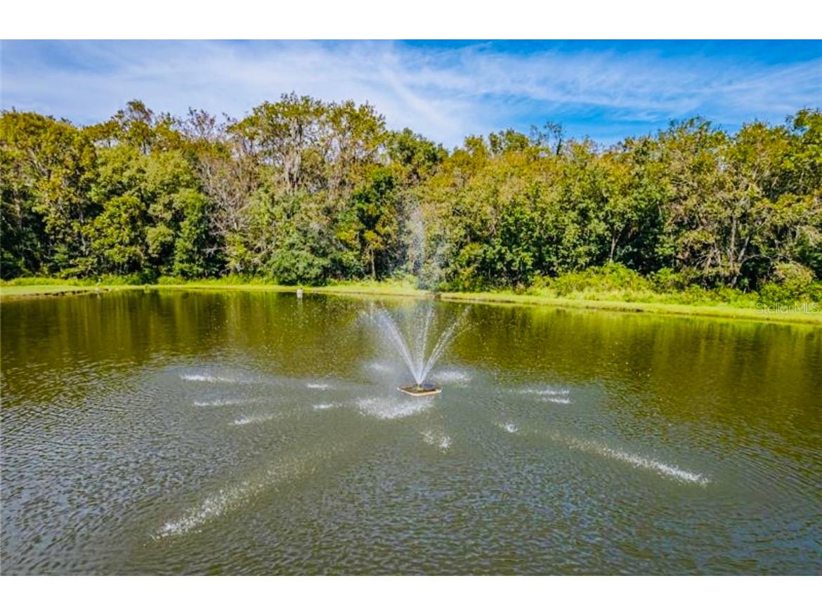 1690 Colonnades Circle N Lakeland FL 33811 A4669314 image37