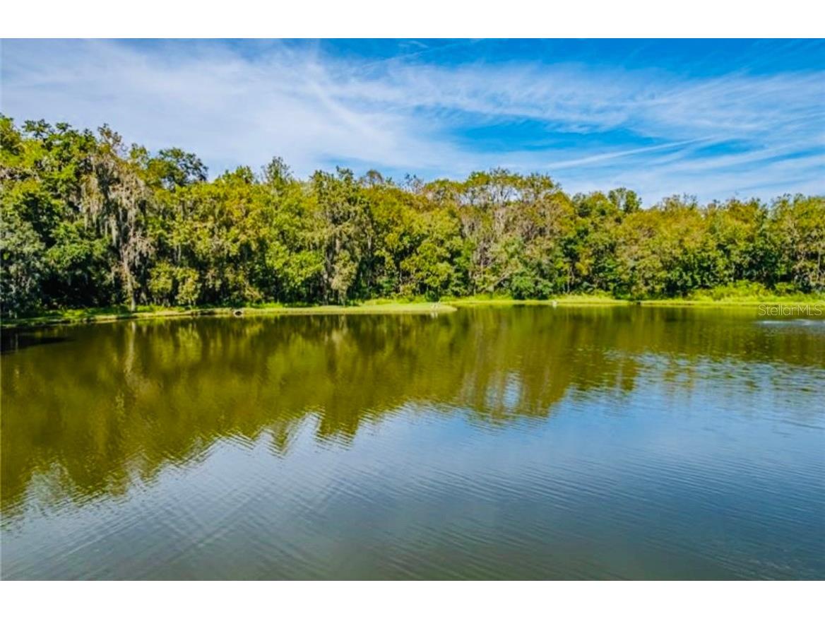 1690 Colonnades Circle N Lakeland FL 33811 A4669314 image43