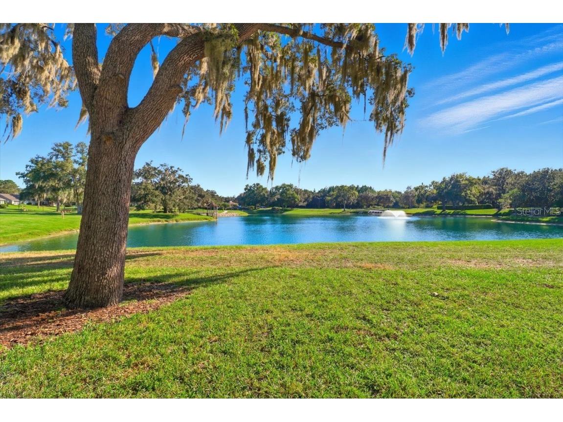 1690 N Foxboro Loop Crystal River FL 34429 TB8441312 image53