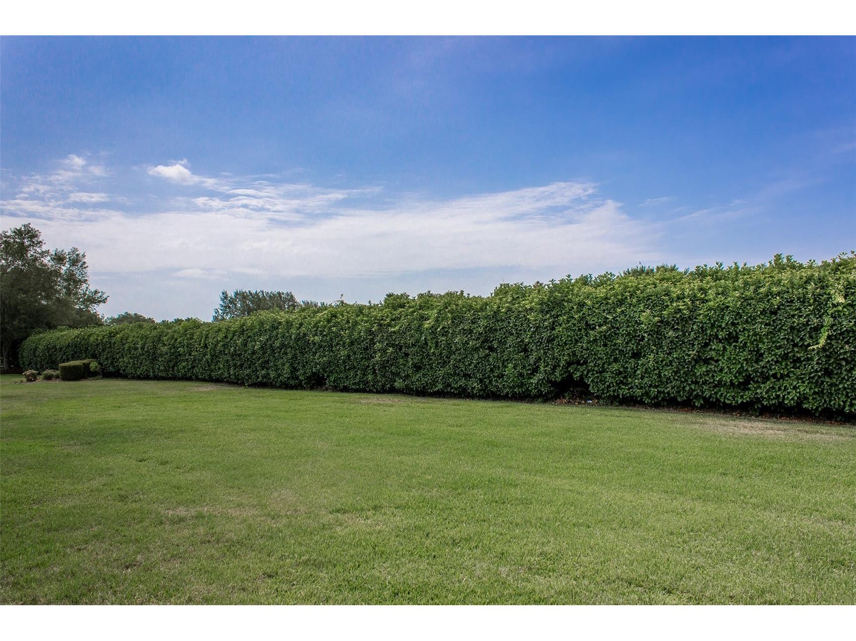 1690 SW 158th Lane Ocala FL 34473 OM720964 image30