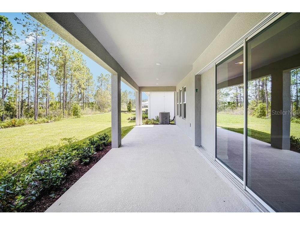 1690 Trailhead Lane Zephyrhills FL 33541 TB8413094 image28