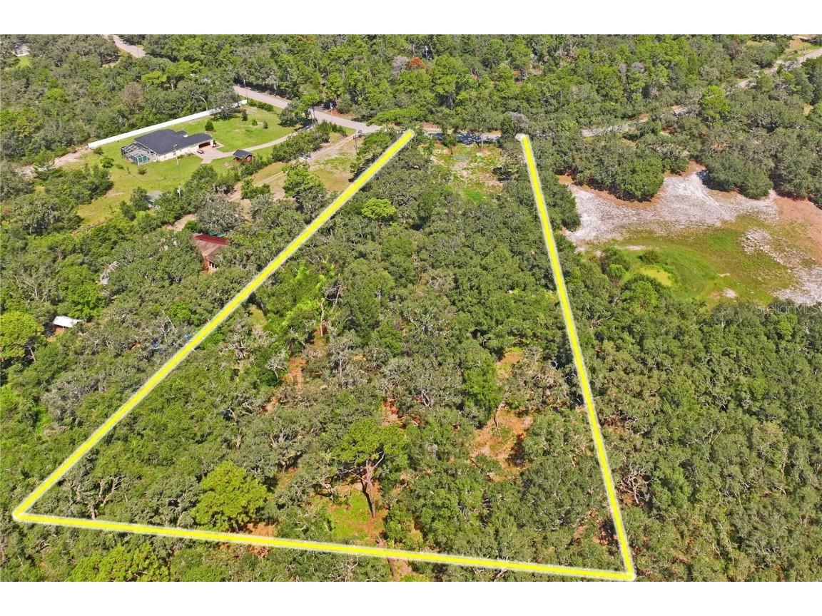 16900 Akins Drive Spring Hill FL 34610 W7878602 image1