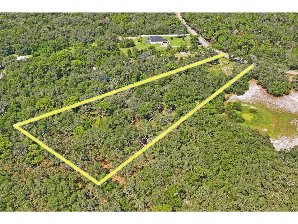 16900 Akins Drive Spring Hill FL 34610 W7878602 image10