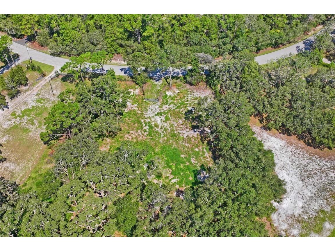 16900 Akins Drive Spring Hill FL 34610 W7878602 image11