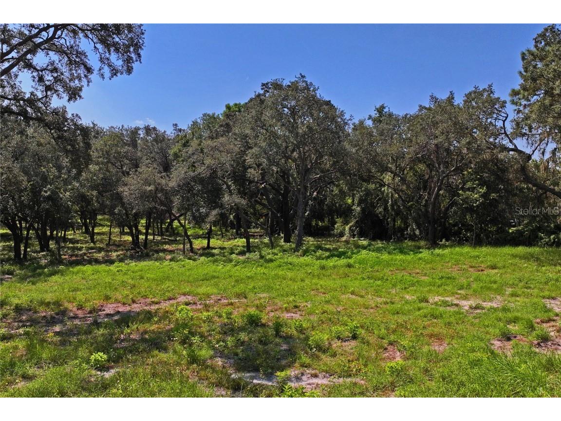 16900 Akins Drive Spring Hill FL 34610 W7878602 image2