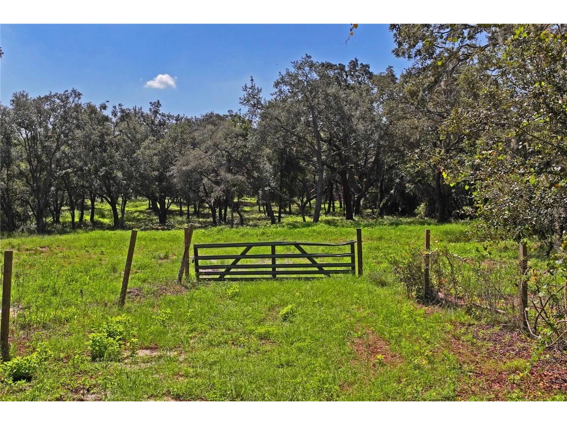 16900 Akins Drive Spring Hill FL 34610 W7878602 image4