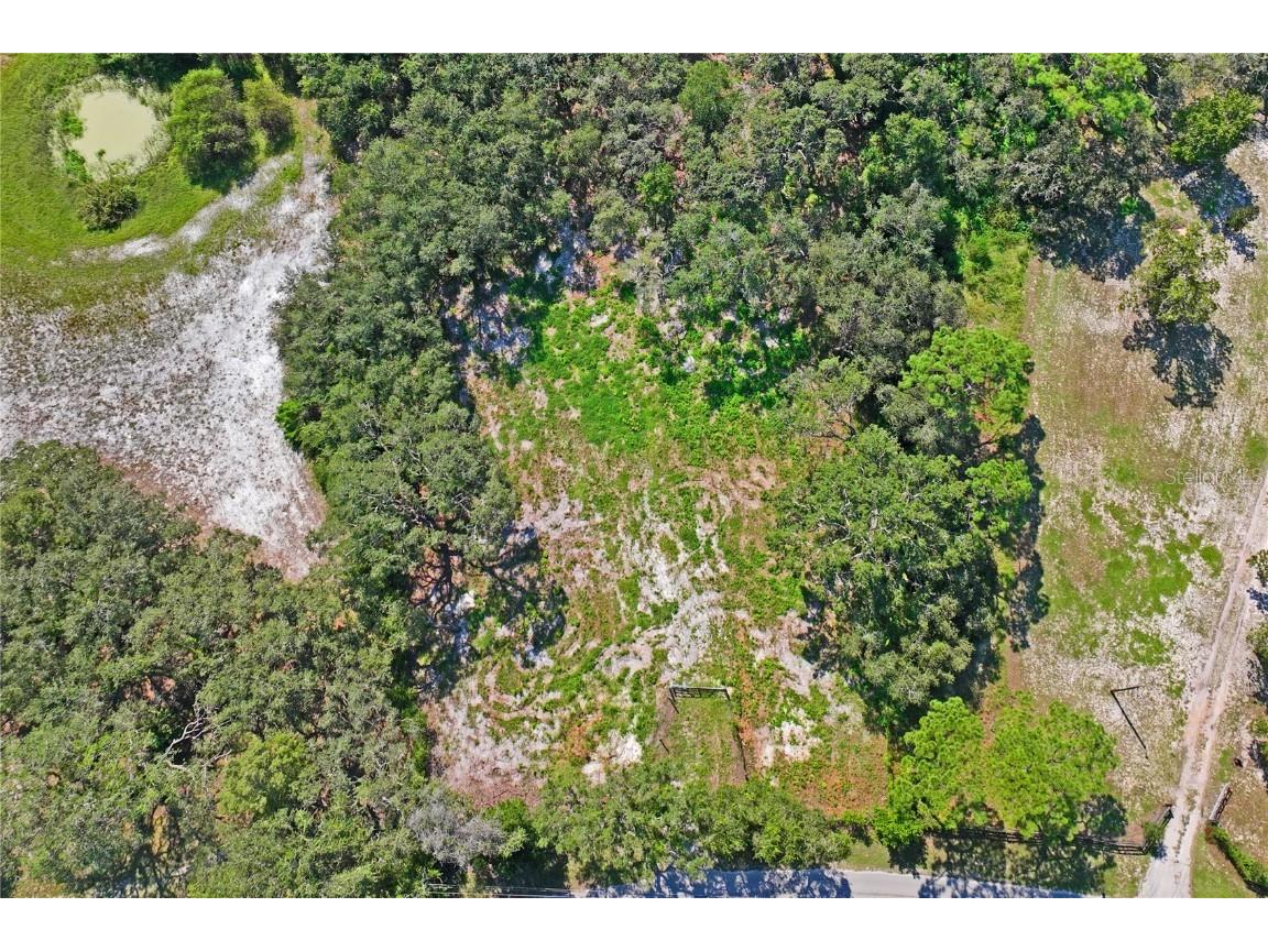 16900 Akins Drive Spring Hill FL 34610 W7878602 image5