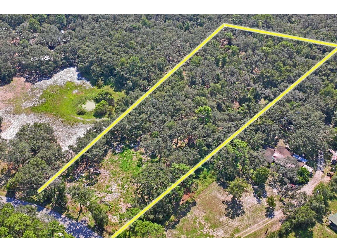 16900 Akins Drive Spring Hill FL 34610 W7878602 image6