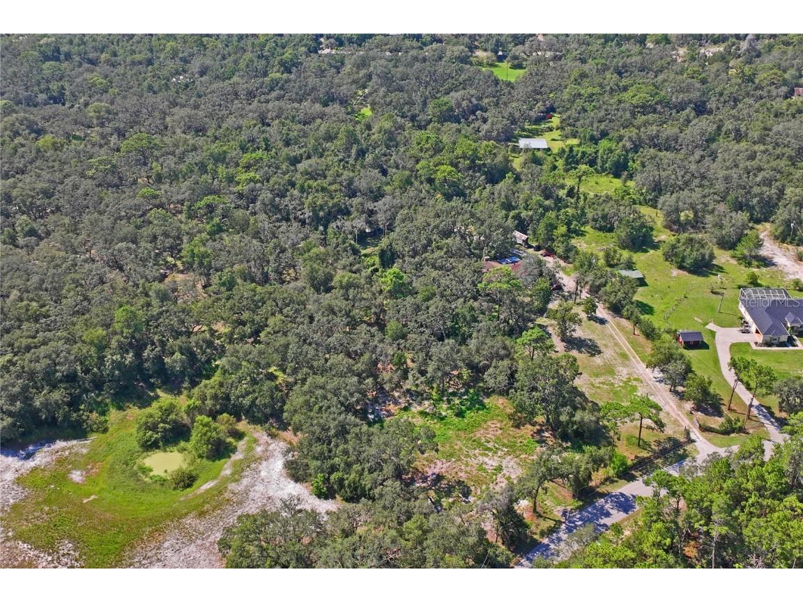 16900 Akins Drive Spring Hill FL 34610 W7878602 image7